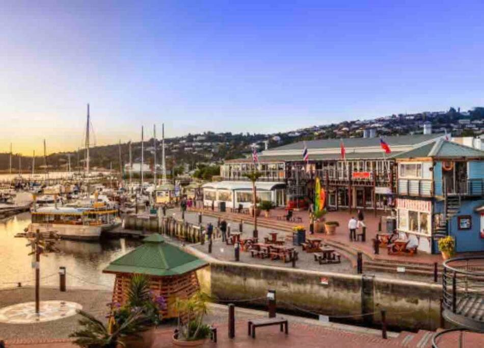 Perfect Knysna Getaway - Little Nest Studio公寓 外观 照片